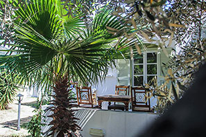 Veranda with garden view