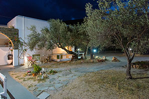 The yard with olive trees at night